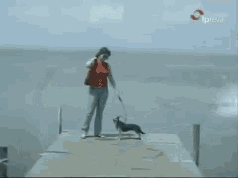 a woman is walking a dog on a leash on a dock while a large fish is coming out of the water .