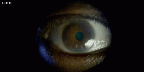 Eye See You GIF - Chris Pratt Passengers Passengers Movie GIFs