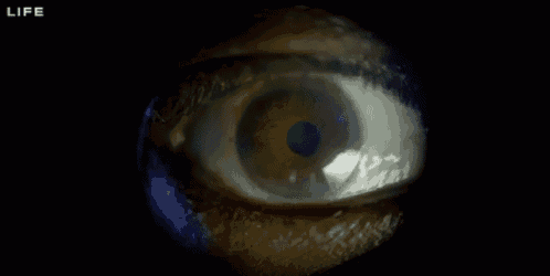 a close up of a person 's eye with the word life on the bottom right