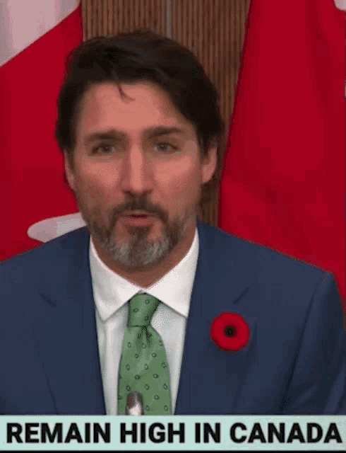 a man in a suit and tie stands in front of a canadian flag