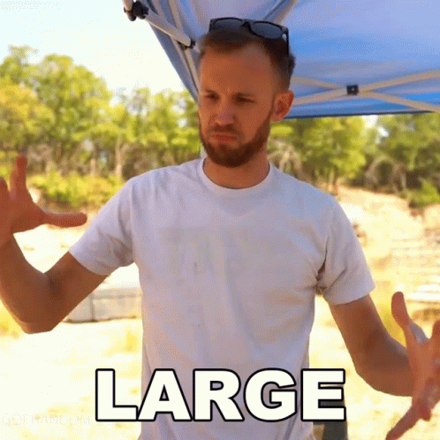 Large The King Of Random GIF - Large The King Of Random Nate GIFs