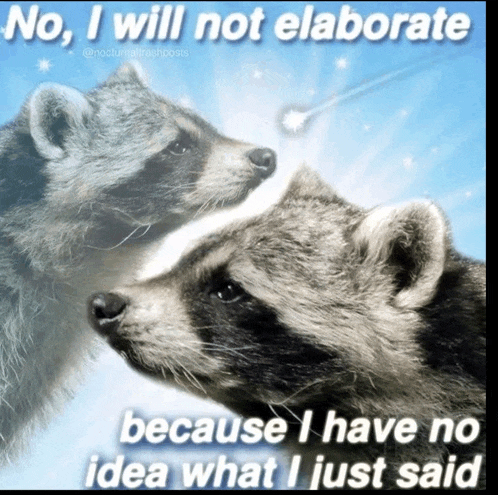 two raccoons looking at each other with the caption no i will not elaborate