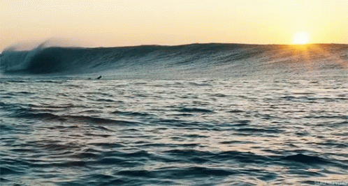 Surf Ocean GIF - Surf Ocean Beach GIFs