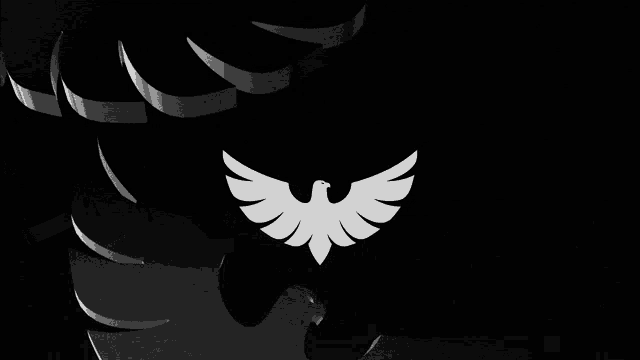 a black and white image of a bird with wings