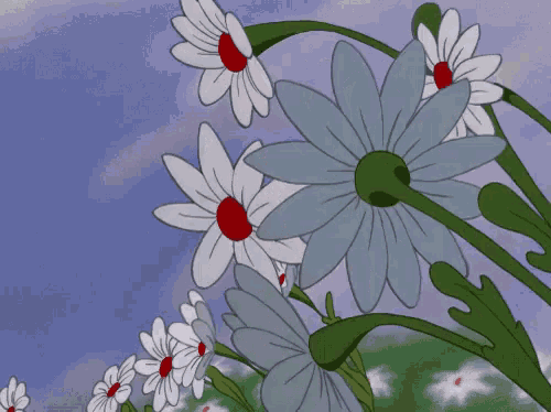 a bunch of white daisies with red centers are growing in a field .