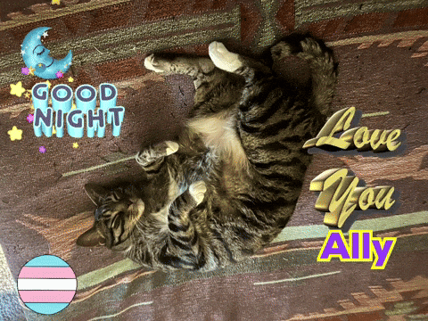 a cat is laying on its back with the words " good night love you ally " above it