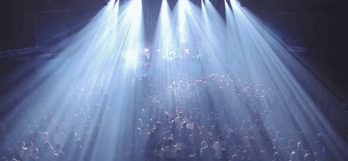 Crowd Live Concert GIF - Crowd Live Concert Light Strobes GIFs