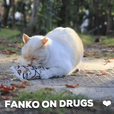 Fankoko Fanko On Drugs GIF - Fankoko Fanko On Drugs GIFs