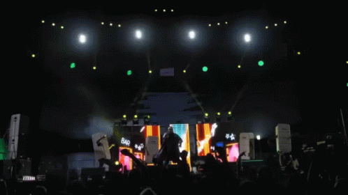 Performing Live GIF - Performing Live Concert GIFs