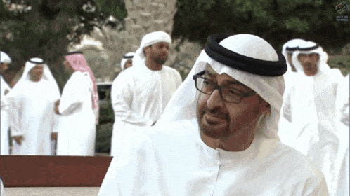 Mbz Mohammed Bin Zayed GIF - Mbz Mohammed Bin Zayed Mohamed Bin Zayed GIFs