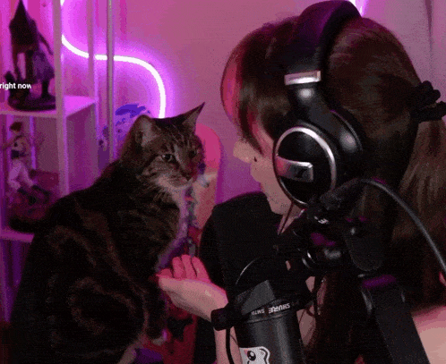 a woman wearing headphones talks into a microphone while a cat looks on