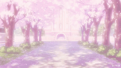 a row of cherry blossom trees in front of a building