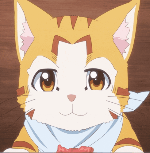 a yellow and white cat with a scarf around its neck