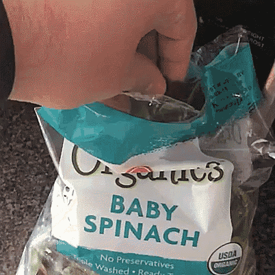 Spinach Cat GIF
