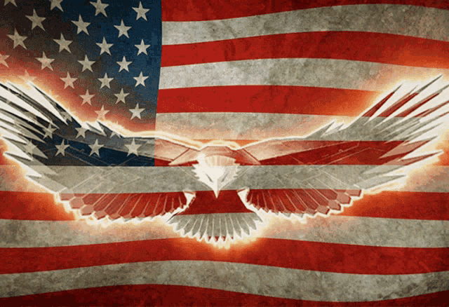 American Flag Bald Eagle GIF - American Flag Bald Eagle All American GIFs