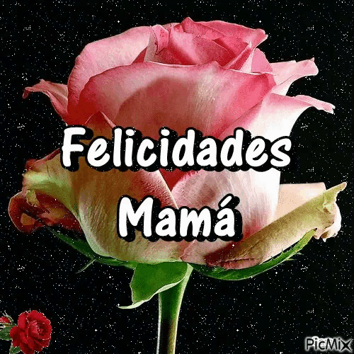 a pink rose with the words felicidades mama written above it