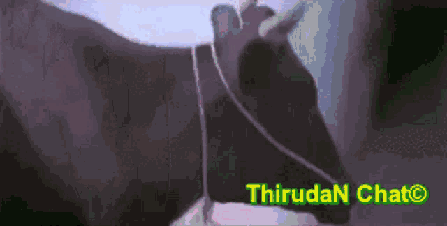 a picture of a cow with the words thirudan chato written below it