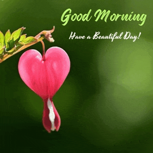 a heart shaped flower with the words good morning have a beautiful day written below it