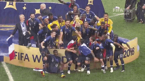 France World Cup GIF - France World Cup Coupe Du Monde GIFs