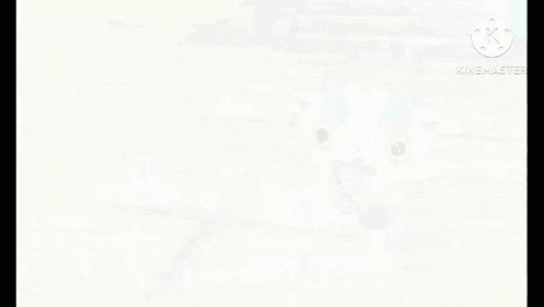 a cartoon character is dancing in a video game with the words spirit dance .