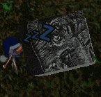 a book with the letter z on it is laying in the grass