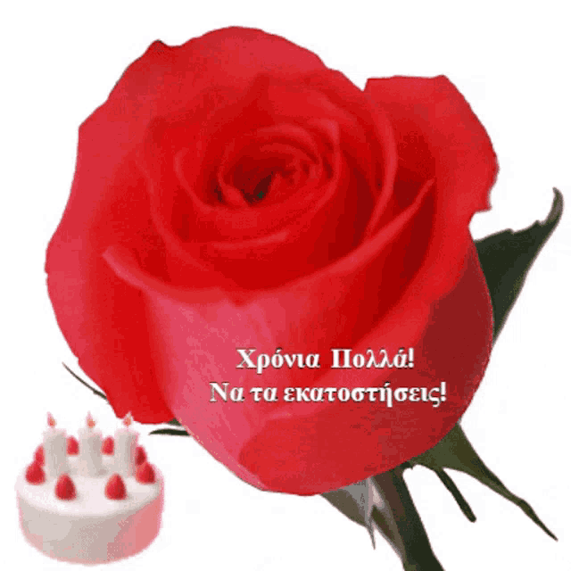 a red rose next to a cake with candles on it