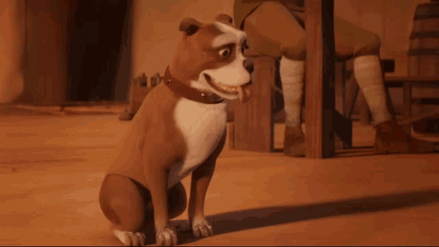 a brown and white dog is sitting on the floor with its tongue out