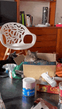 a cat is sleeping in a cardboard box next to a cata game