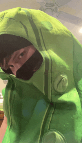 a person wearing a green costume with a hood