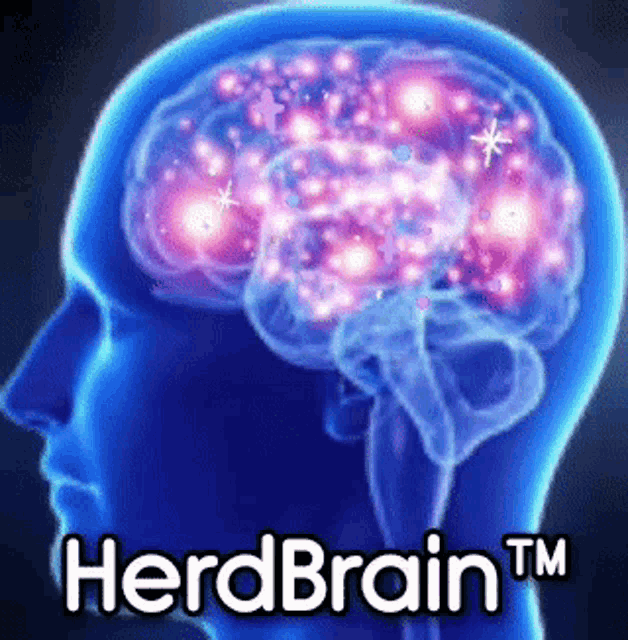 Herd Brain Herd GIF - Herd Brain Herd Brain GIFs