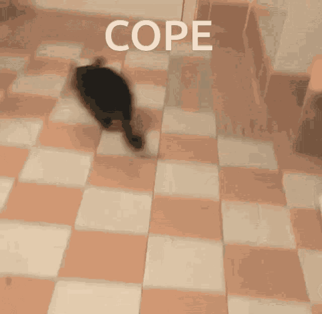 a blurred image of a cat walking in a hallway with the word cope above it