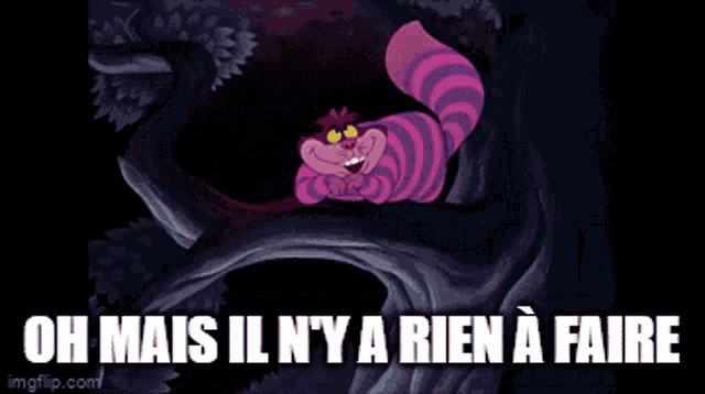 Alice In Wonderland Characters Alice Au Pays Des Merveilles GIF - Alice In Wonderland Characters Alice Au Pays Des Merveilles Chat GIFs