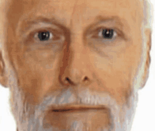 a man with a beard and blue eyes looks at the camera