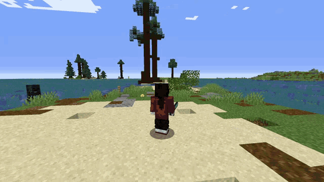 a person in a red shirt is standing on a sandy beach in a video game