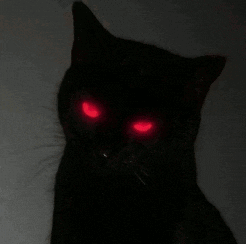 a black cat with red eyes in the dark