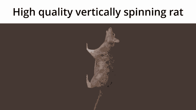 High Quality Vertically Spinning Rat Rat GIF - High Quality Vertically Spinning Rat Spinning Rat Vertically Spinning Rat GIFs