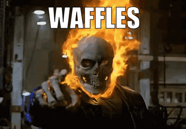 Waffles GIF - Waffles GIFs