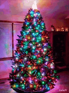 a lola31 photo of a christmas tree with lots of lights