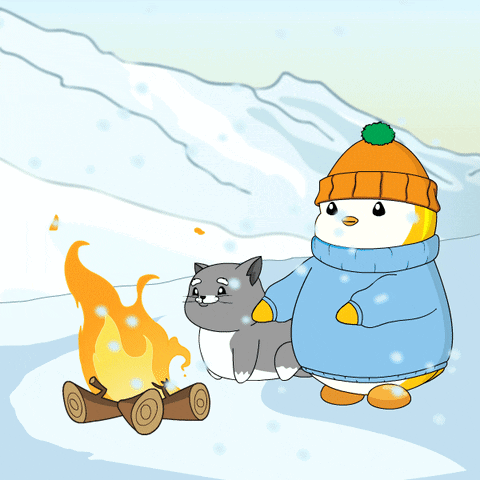 Cat Snow GIF - Cat Snow Winter GIFs