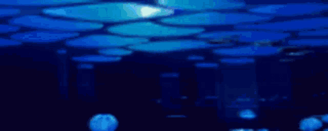 a blue background with the words trail fortress written in white