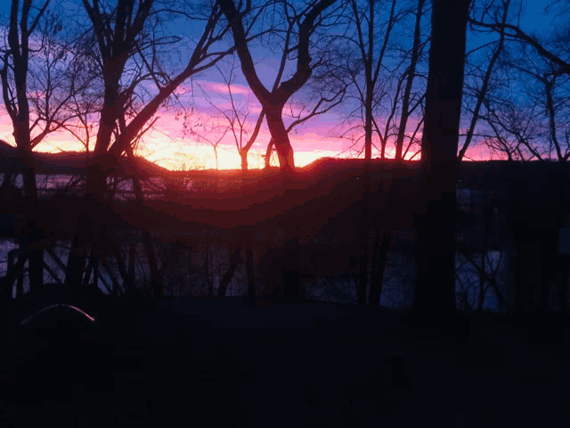a sunset with trees in the foreground and a lake in the background