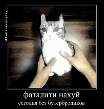 a picture of a cat being held by a person with russian writing on it