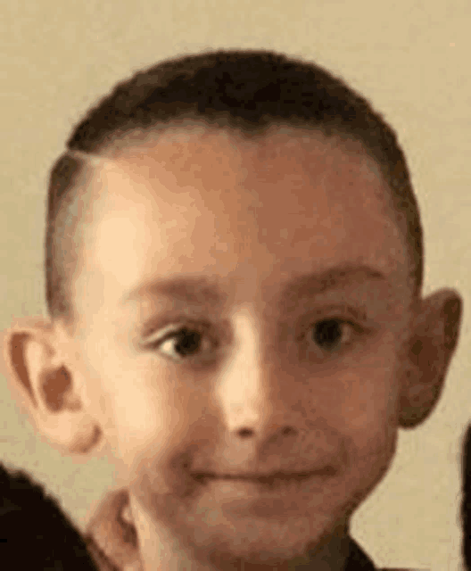 a little boy with a shaved head is smiling for the camera .
