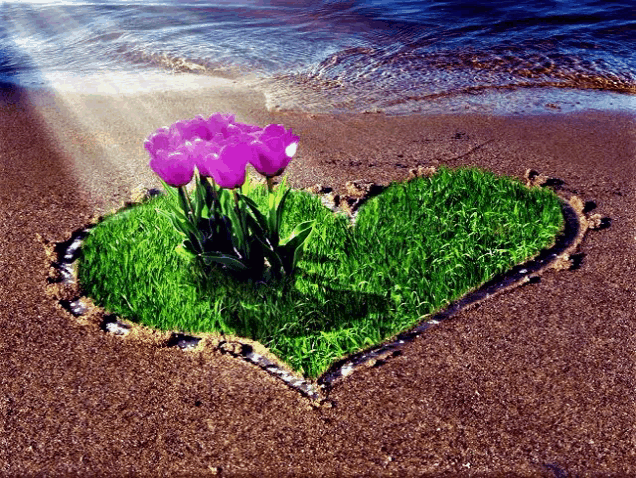 a heart made of grass with purple flowers in it