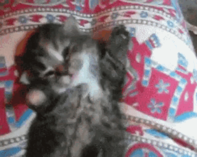 a kitten is laying on a bed with a pink and blue blanket .