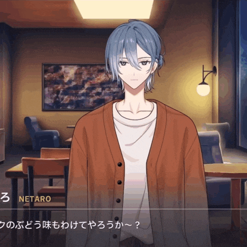 a screenshot of a video game shows a character named netaro