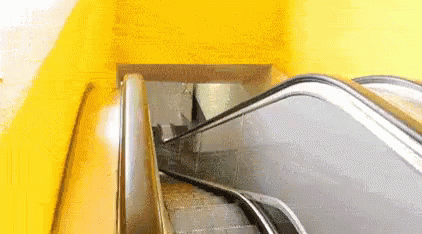 That Escalated Quickly Escalate GIF - That Escalated Quickly Escalate Quick GIFs