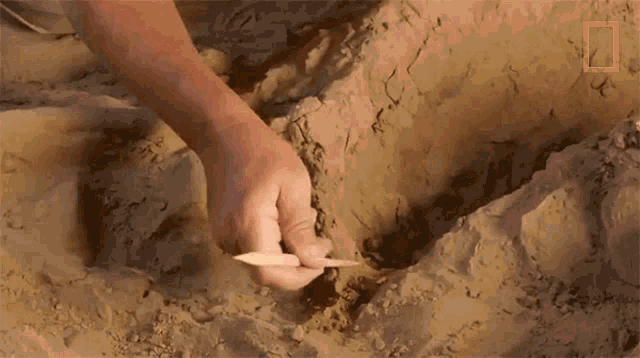 Excavating Lost Treasures Of Egypt GIF - Excavating Lost Treasures Of Egypt Digging Carefully GIFs
