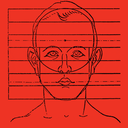 a drawing of a man 's face shows the bones of the face