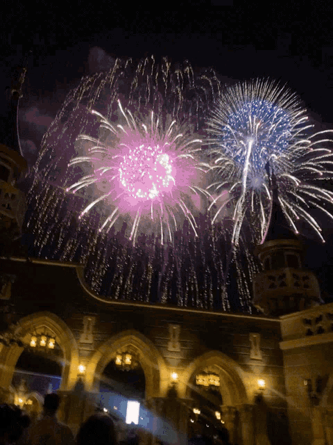 purple and blue fireworks are displayed in the night sky over a building